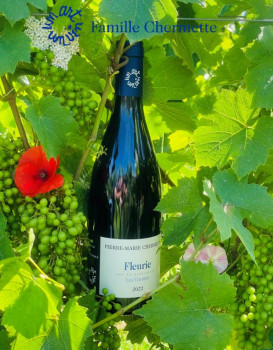 Fleurie Les Garants 2022 - Coup de cœur de « La Revue du Vin de France »