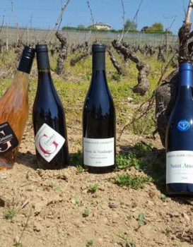 Nos cuvées 2018 sont de sorties !