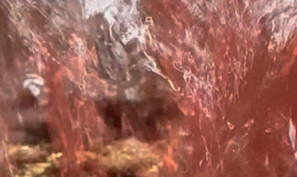 Suite des vendanges ! Le rosé !