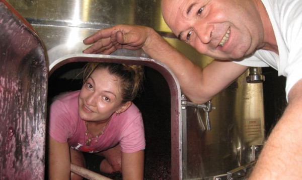 BEAUJOLAIS PRIMEUR WHICH PROMISES A VERY GOOD VINTAGE 2013 IN BEAUJOLAIS