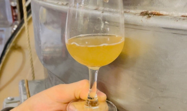 Une nouvelle cuvée en vue !