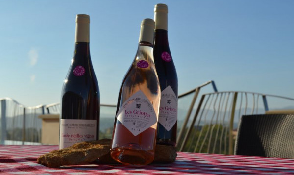 LES BEAUJOLAIS PRIMEURS
