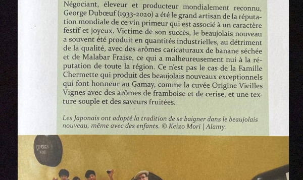Article Beaujolais Nouveaux