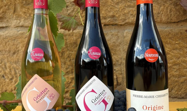 Jour J, La Sortie du Beaujolais Nouveau !