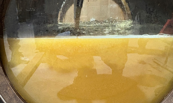 Le Beaujolais Blanc « La Perle du Beaujolais » prend vie…