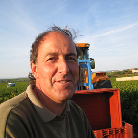 DIDIER CASTELLETTO - Vineyards responsible in the crus