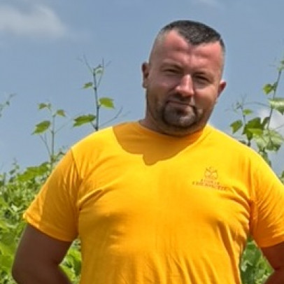 WOJCIECH SEWERYN ZIEBA - VINEYARD WORKER