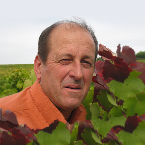 RENE FAYOT - Vineyards responsible in Saint Vérand