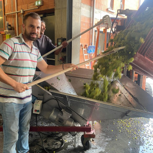 Un millésime très Beaujolais