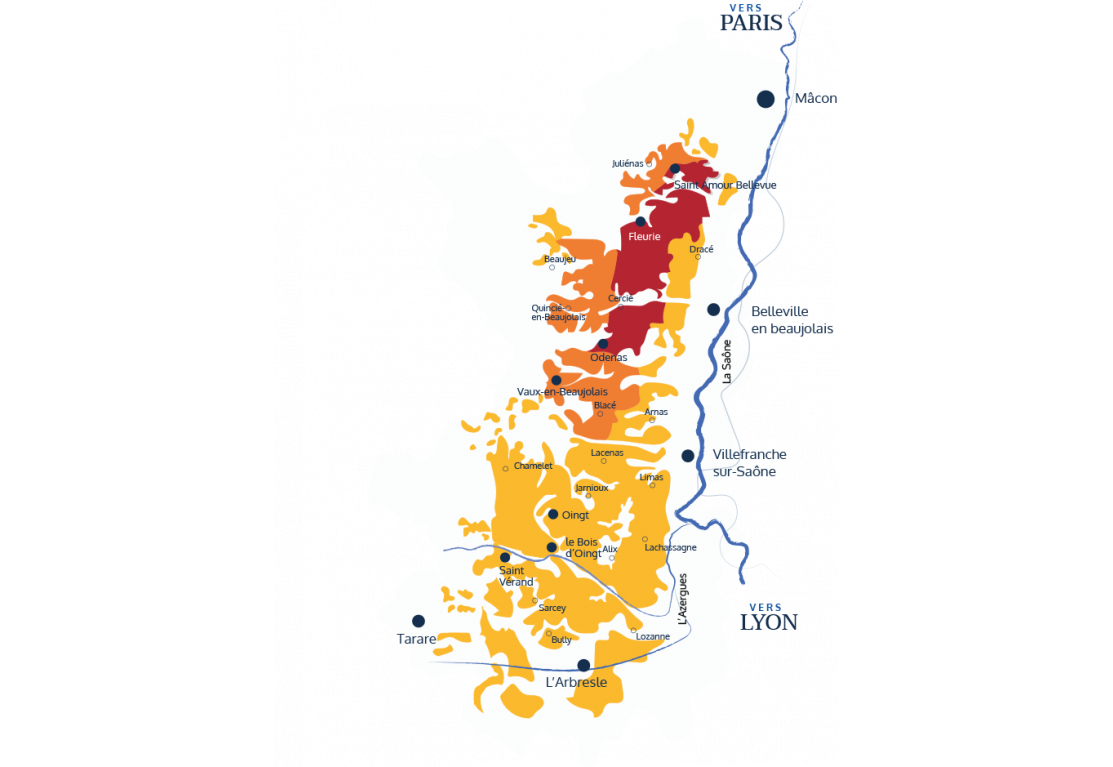 La carte des parcelles de Domaines CHERMETTE