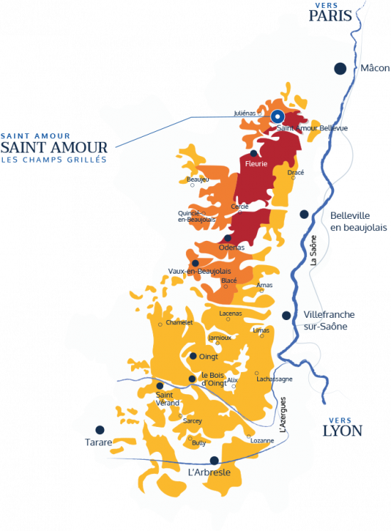 Les Crus du Beaujolais - Saint-Amour Les Champs-Grillés