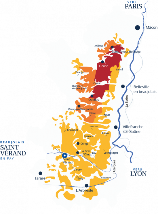 Les Beaujolais - Beaujolais Origine - Vieilles Vignes