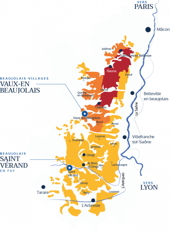 Les Beaujolais - Beaujolais Coeur de Vendanges - Vignes centenaires