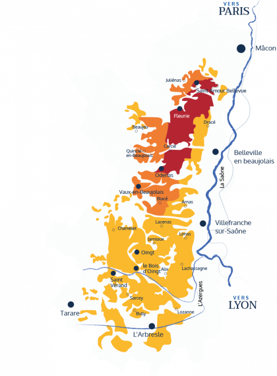 Nos parcelles Le Beaujolais et ses Grands Terroirs