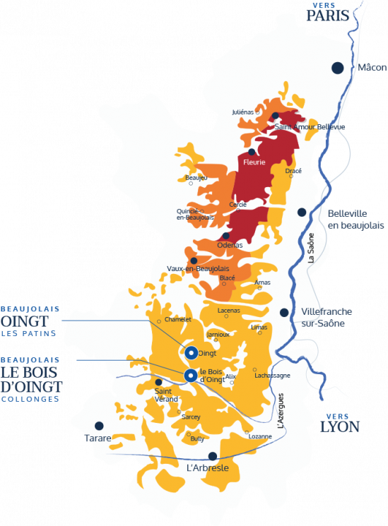 Beaujolais Blanc - Chardonnay - Pierre-Marie Chermette