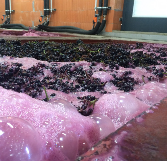 Semi-carbonic vinification