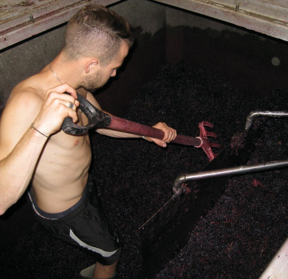 Semi-carbonic vinification