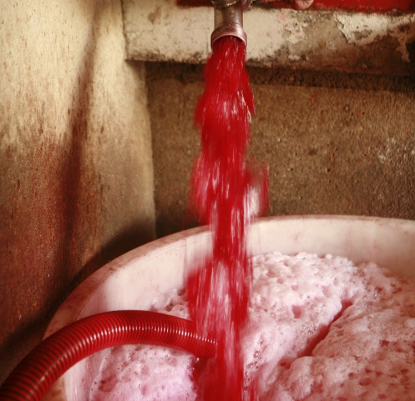 Semi-carbonic vinification