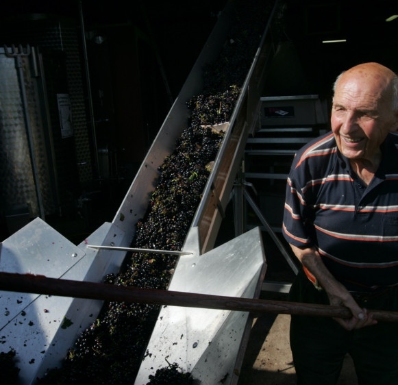 Les Vendanges