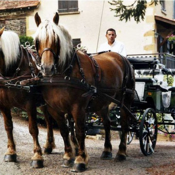 LE PETIT OINGT DE PARADIS