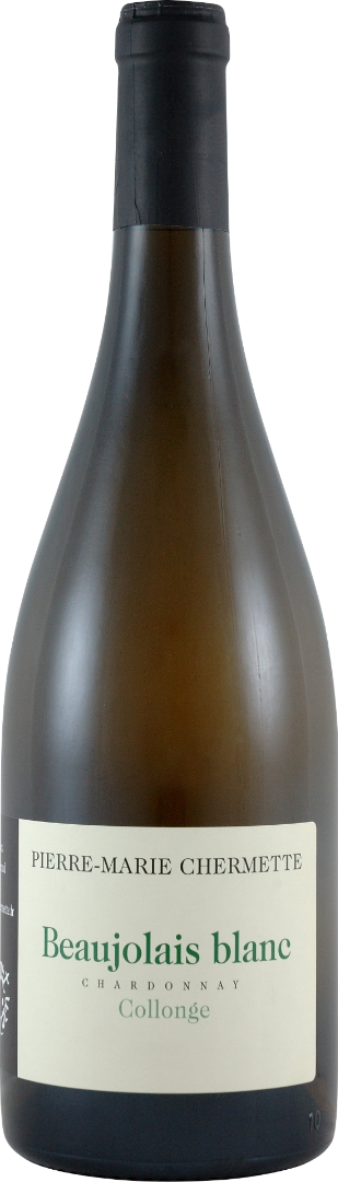 Chardonnay - Collonges